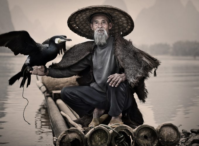 Wallpaper Cormorant, Li River, Xingping, China, fishing village, bird, National Geographic Traveler Photo Contest, Animals 576738738